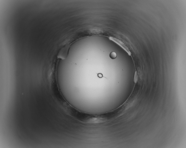 X0000102530364200808151600