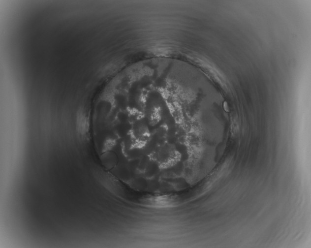 X0000102530365200808151601