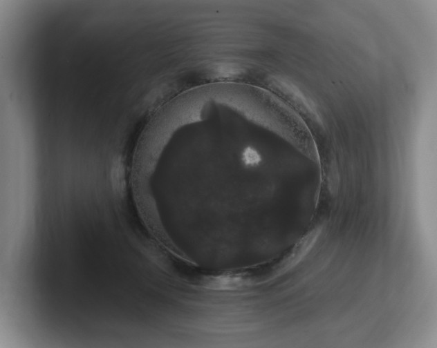 X0000102530366200808151601