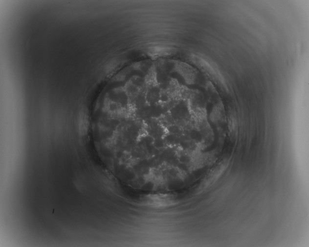 X0000102530367200808151601