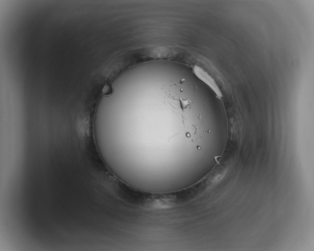 X0000102530368200808151601