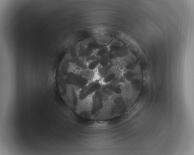 X0000102530369200808151601