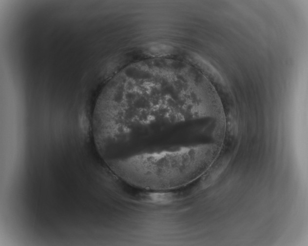 X0000102530371200808151601