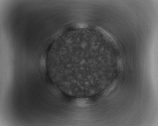 X0000102530373200808151601