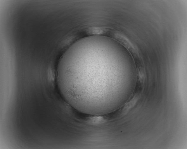 X0000102530374200808151601