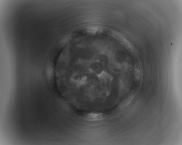 X0000102530375200808151601