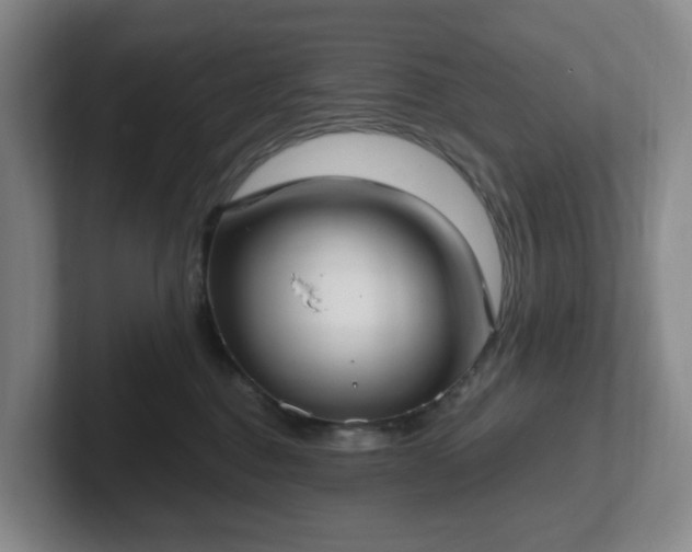 X0000102530376200808151601