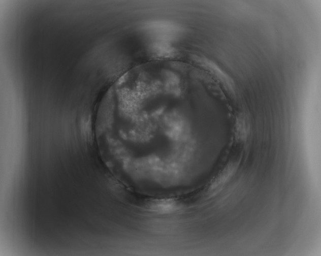 X0000102530377200808151601