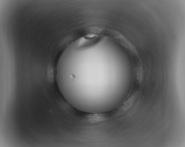 X0000102530378200808151601