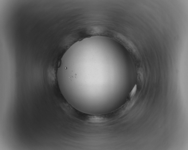 X0000102530380200808151601