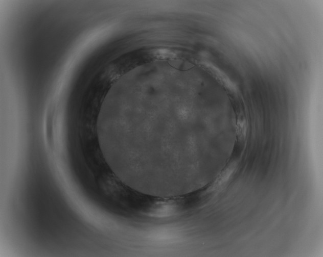 X0000102530381200808151601