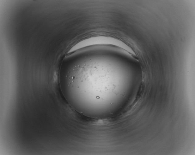 X0000102530382200808151601