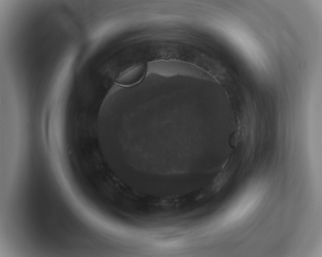 X0000102530383200808151601