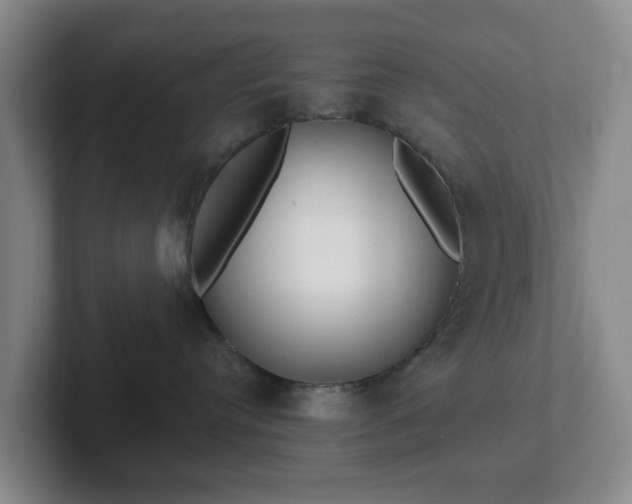 X0000102530384200808151601