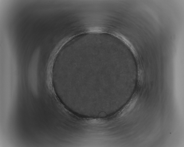 X0000102530385200808151600