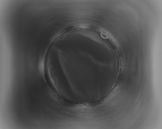 X0000102530386200808151600