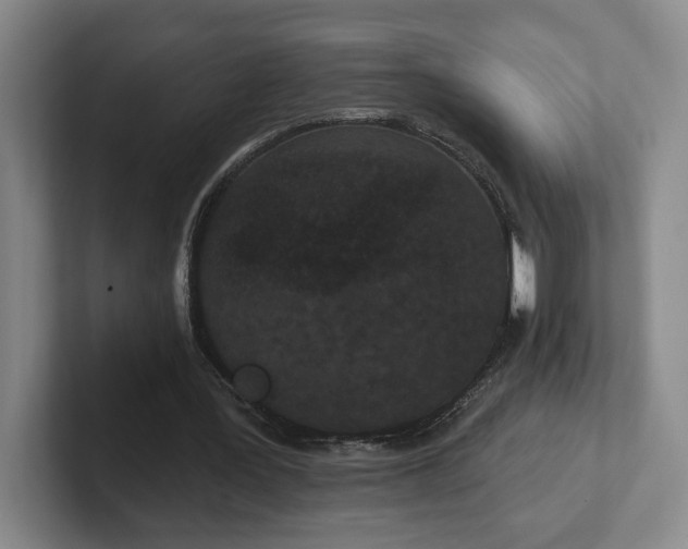 X0000102530387200808151600