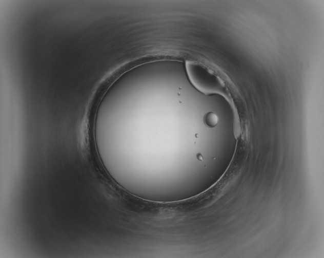 X0000102530388200808151600