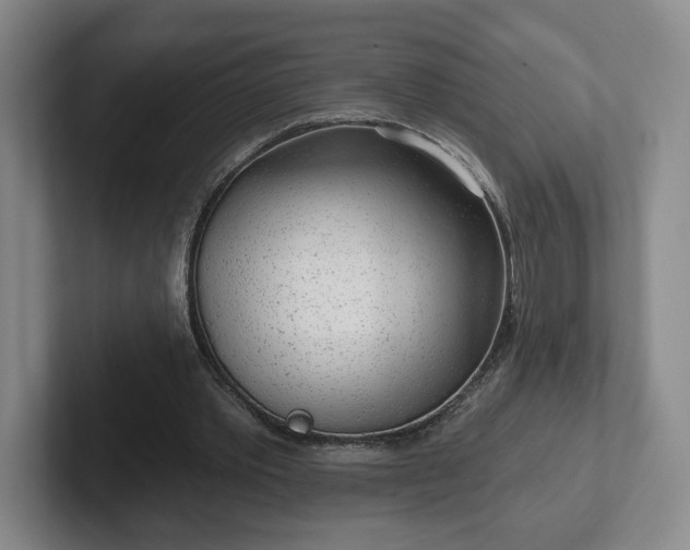 X0000102530389200808151600