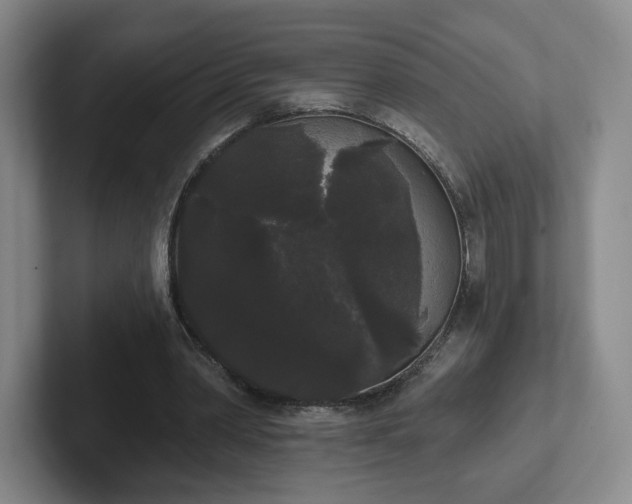 X0000102530390200808151600