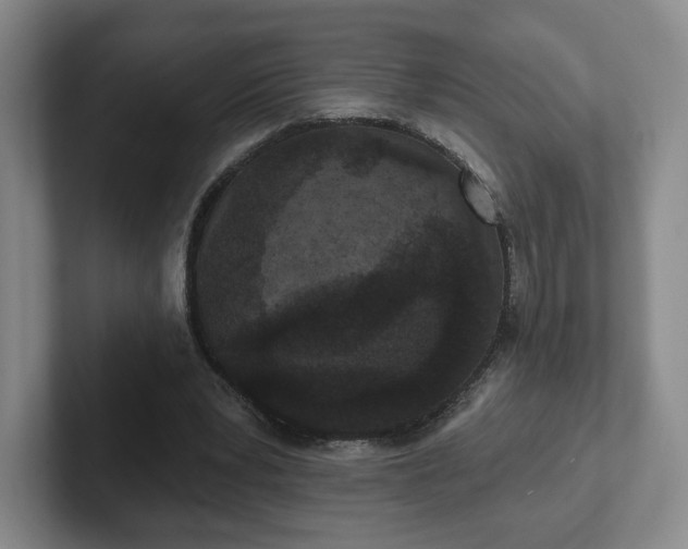 X0000102530391200808151600