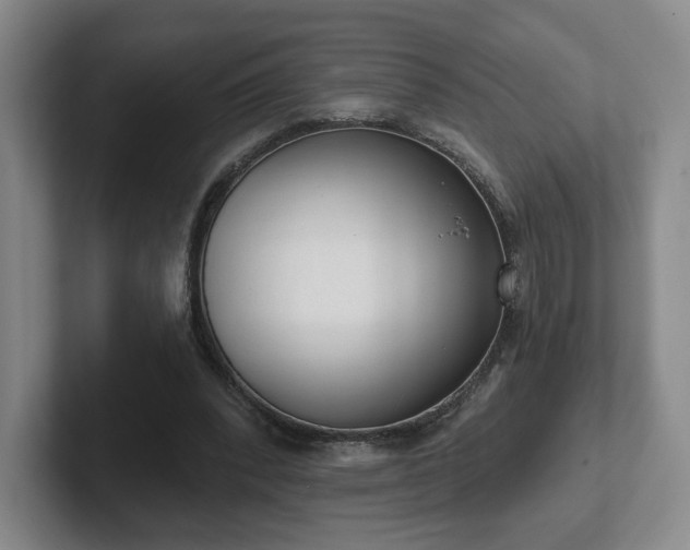 X0000102530392200808151600