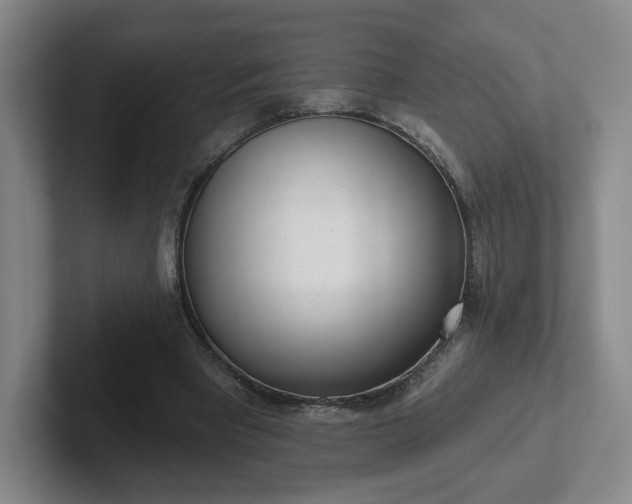 X0000102530393200808151600