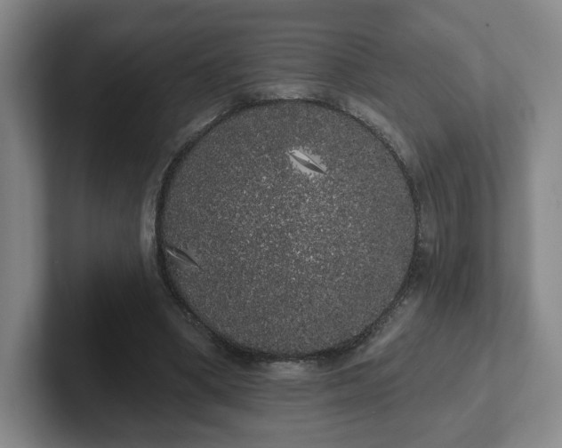 X0000102530394200808151600