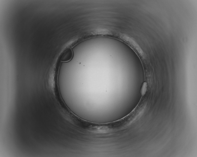 X0000102530395200808151600