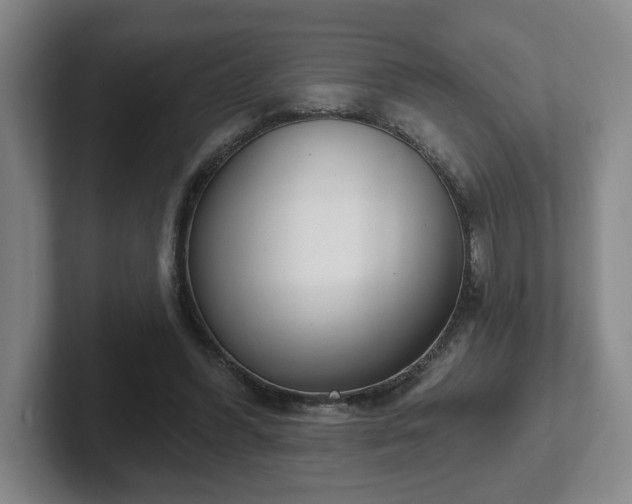 X0000102530396200808151600