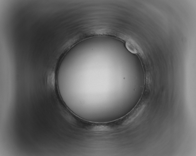 X0000102530397200808151600