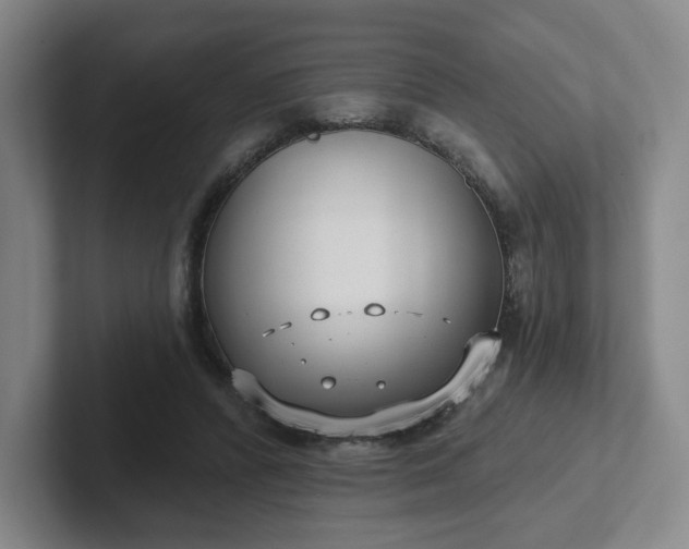 X0000102530400200808151600