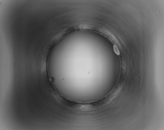 X0000102530401200808151600