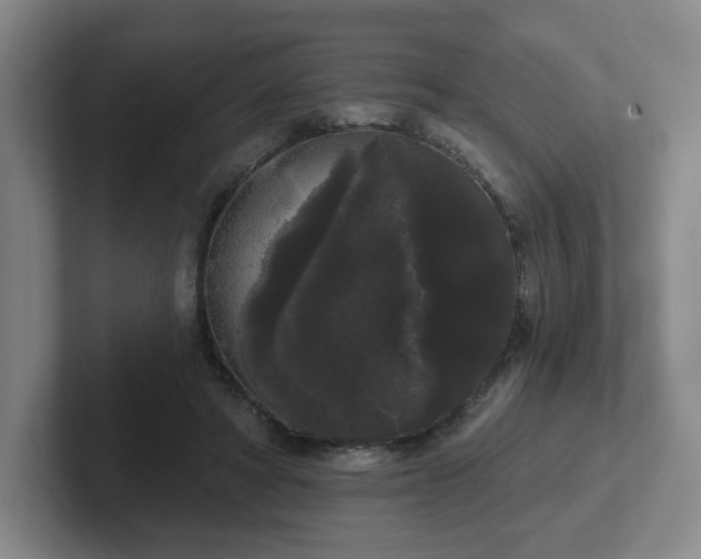 X0000102530402200808151600