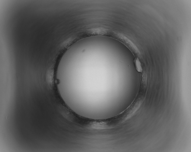 X0000102530403200808151600