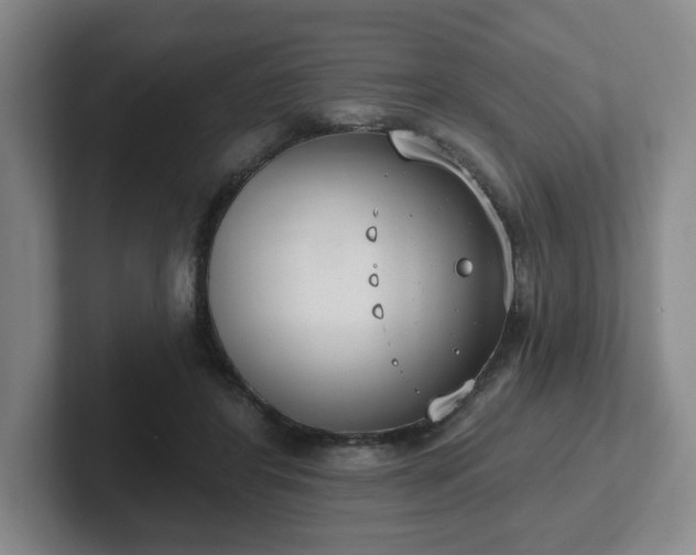 X0000102530404200808151600