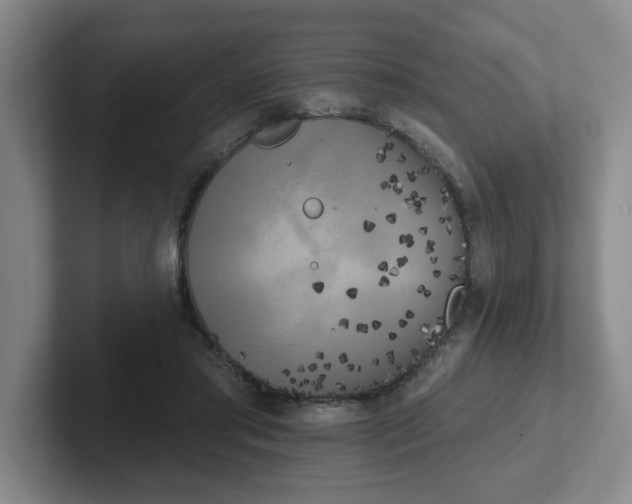 X0000102530405200808151600