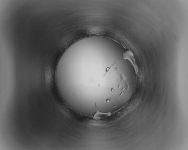 X0000102530408200808151600