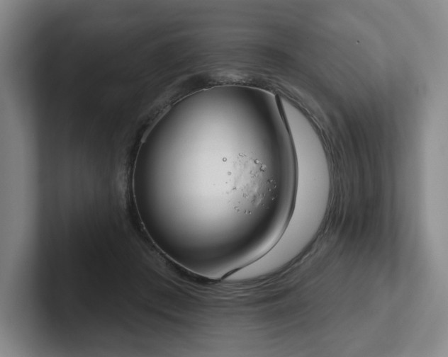 X0000102530409200808151600