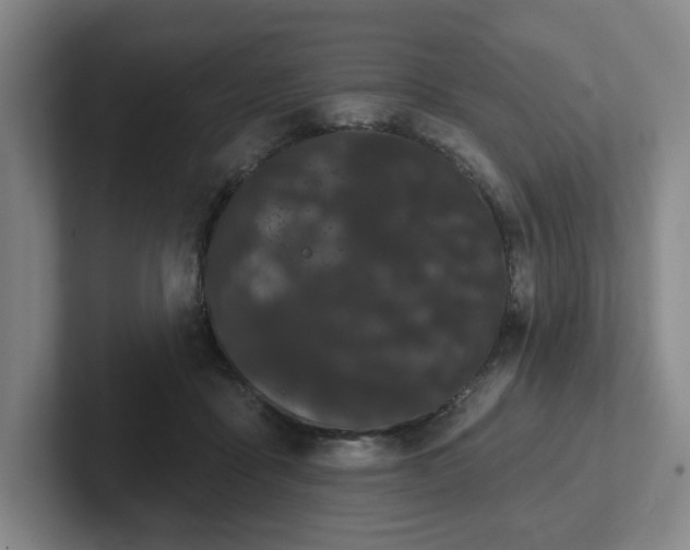 X0000102530411200808151600