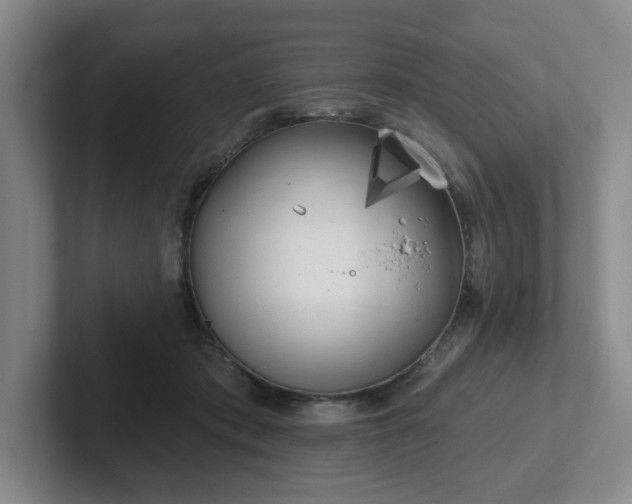 X0000102530413200808151600