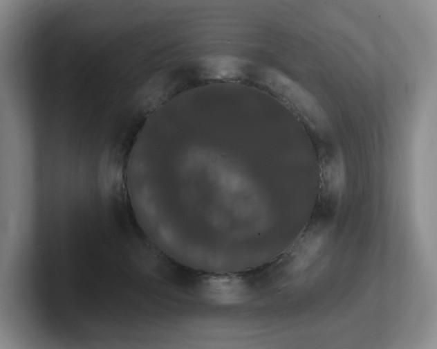 X0000102530415200808151600