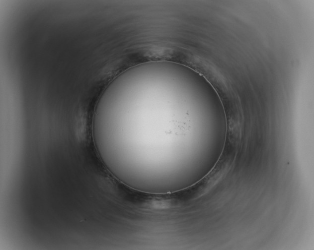 X0000102530416200808151600