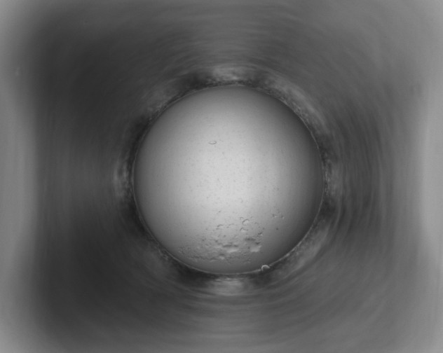 X0000102530418200808151600