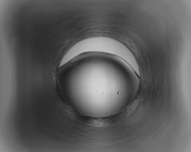 X0000102530423200808151559