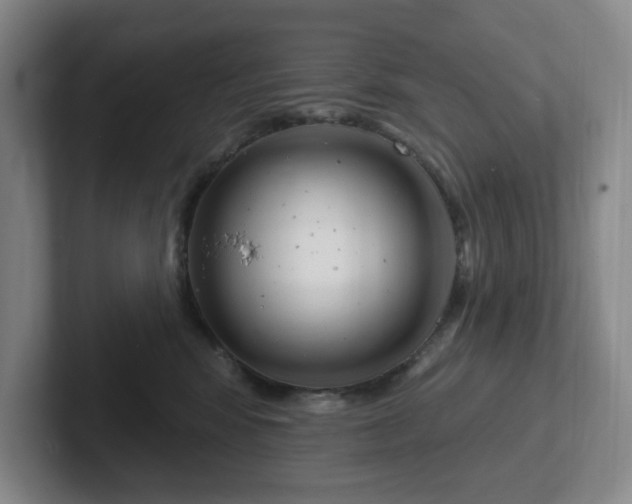 X0000102530424200808151559