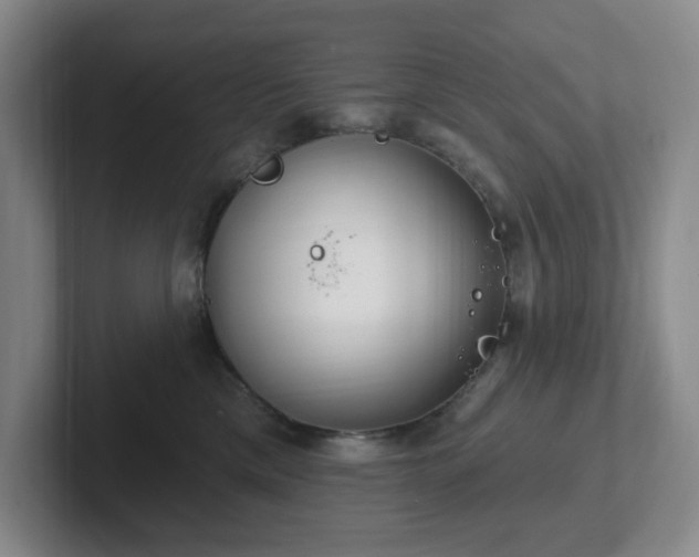 X0000102530425200808151559