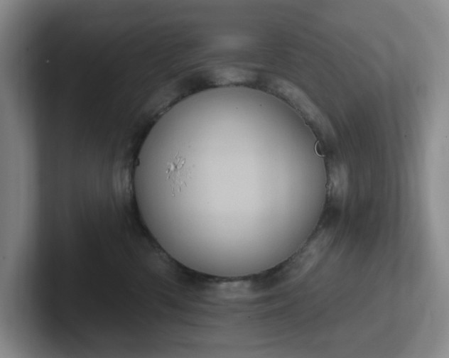 X0000102530426200808151559