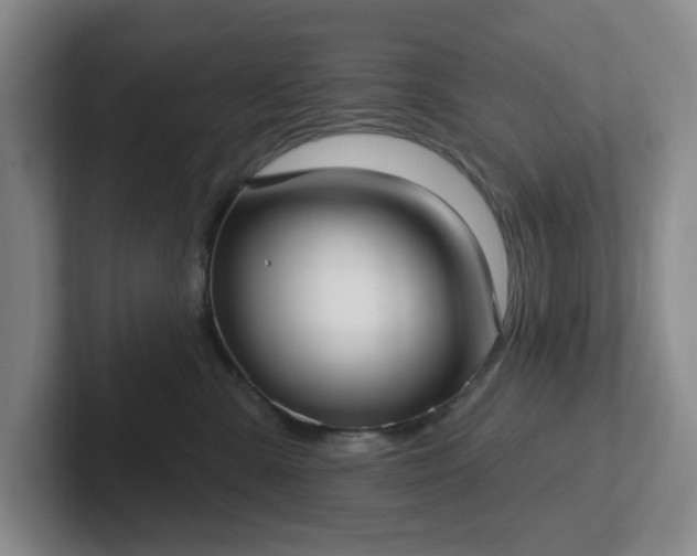 X0000102530427200808151559