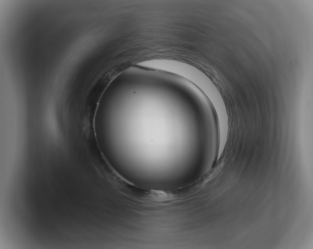 X0000102530429200808151559